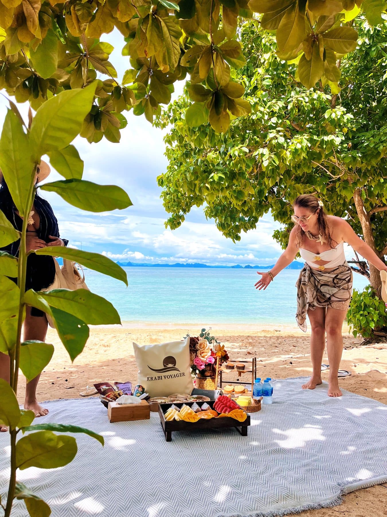 客人在树荫下布置好的海滩野餐旁