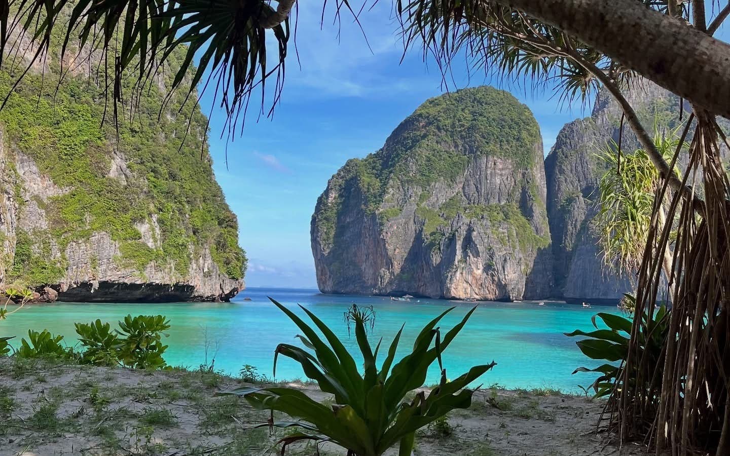 Exclusive Phi Phi Islands